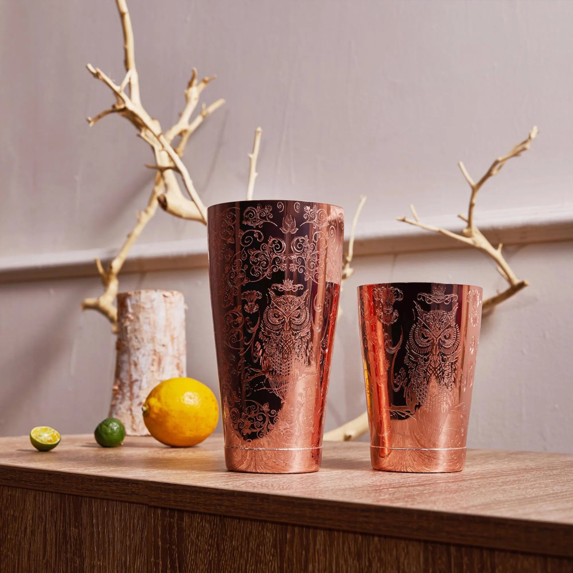 Kit de coctelera Skycorps de 18 piezas para barman 